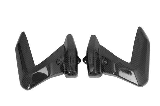 Create Carbon Dry Carbon Fiber Engine Guard Cover for BMW R1200GS / R1250GS Adventure